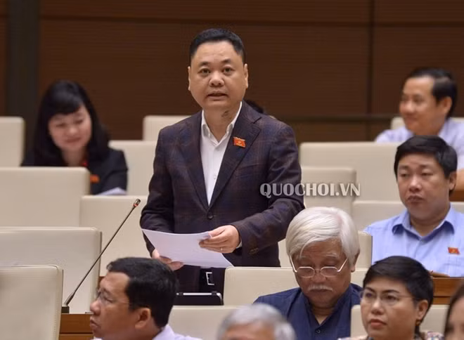 Đại biểu Nguyễn Ngọc Bảo.