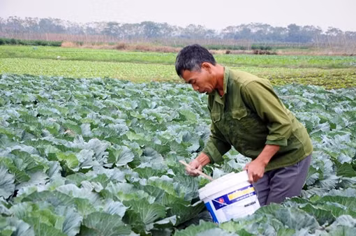 “Mỗi xã một sản phẩm-OCOP”, nâng cao hiệu quả kinh tế cho người dân Vĩnh Phúc