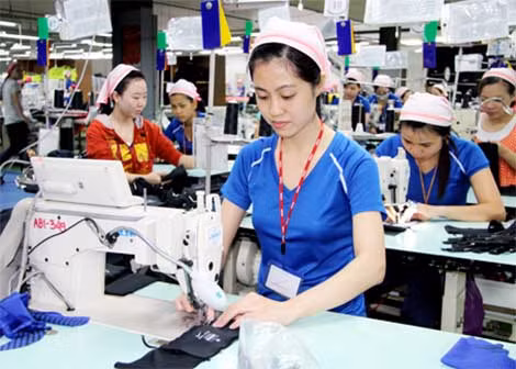 Ảnh chỉ mang tính chất minh họa.