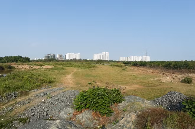 Khu đất sạch được đơn vị quản lý âm thầm chuyển nhượng với giá bèo.