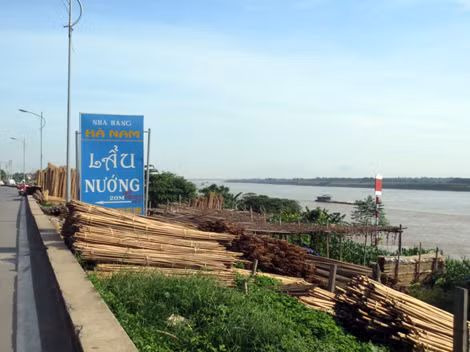 Tập kết lâm sản, dựng lều tạm ngay dưới chân đê sông Hồng – đoạn thuộc xã Liên Trung (ảnh chụp sáng 14-6).