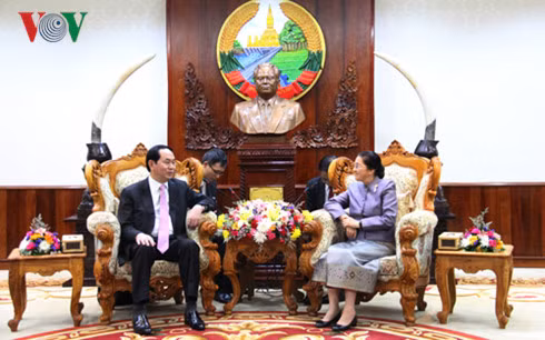 Chủ tịch nước Trần Đại Quang hội kiến Chủ tịch Quốc hội Lào.