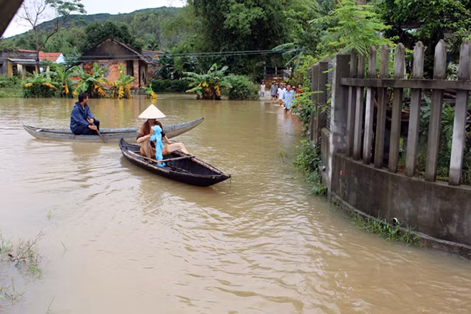 Xóm Bắc, thôn Huỳnh Mai, xã Phước Nghĩa (huyện Tuy Phước) bị nước lũ cô lập hơn nửa tháng nay, người dân phải dùng sõng để di chuyển.
