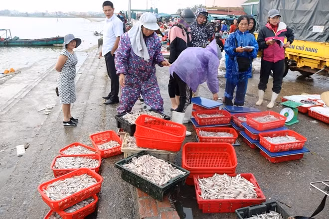 Niềm vui của ngư dân miền Trung đón mừng “lộc biển” đầu năm.