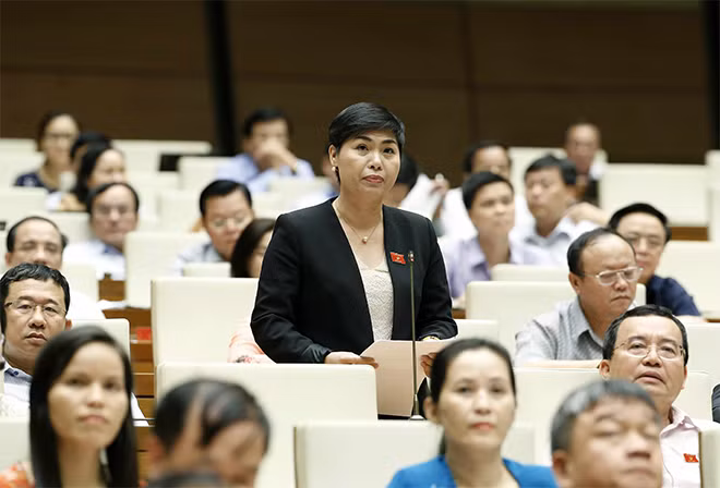Đại biểu phát biểu tại hội trường. Ảnh: Văn Điệp