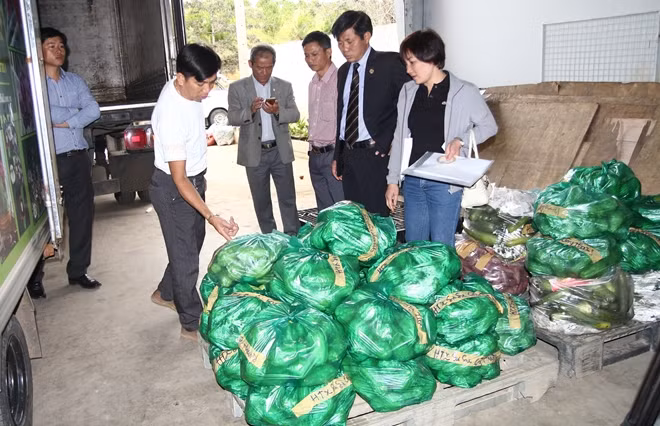 Lãnh đạo UBND TP Đà Lạt kiểm tra nông sản trước khi chuyển ra Trường Sa.