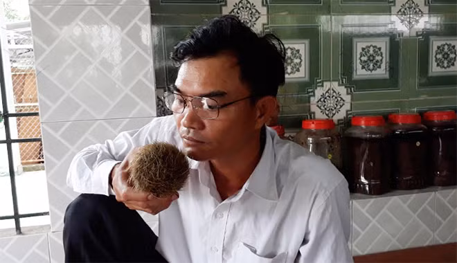 Sau khi rửa sạch, đưa ngửi ông Nguyễn Bá Thiêm thấy vật lạ có mùi thơm giống thuốc bắc.