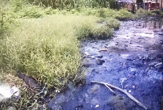 Các cơ sở wash xả nước đen kịt ra ngoài môi trường.