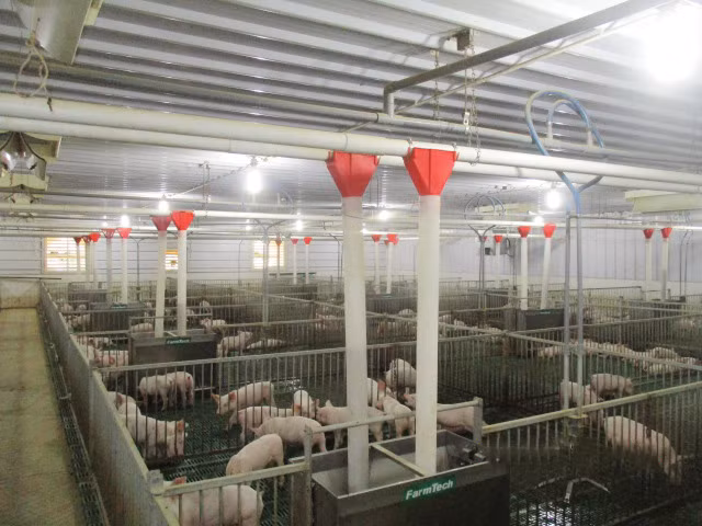 Doanh nghiệp phát triển nông nghiệp, nông thôn được ưu tiên giảm lãi suất.