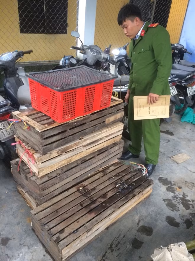 Lực lượng Công an kiểm tra số động vật hoang dã sau khi phát hiện, bắt giữ.