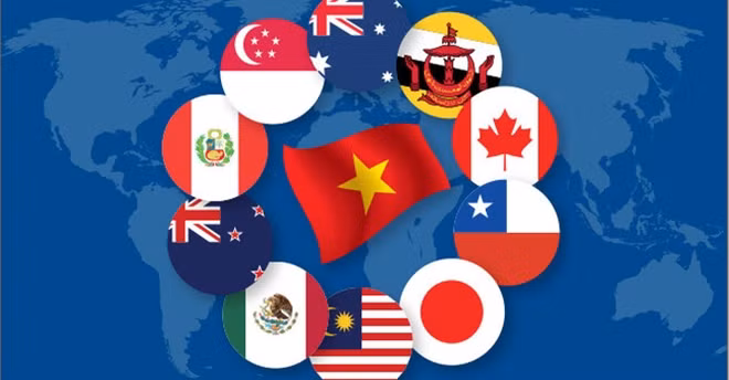 11 nước tham gia CPTPP có tổng giá trị GDP khoảng 10.000 tỷ USD (khoảng 13% GDP toàn cầu).