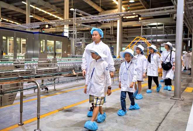 Các em học sinh tham quan nhà máy và trang trại bò sữa.