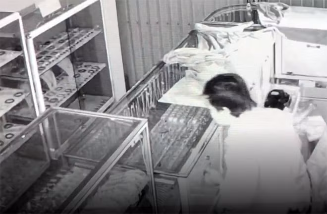 Hình ảnh đối tượng đột nhập vào cửa hàng nữ trang trộm tài sản.