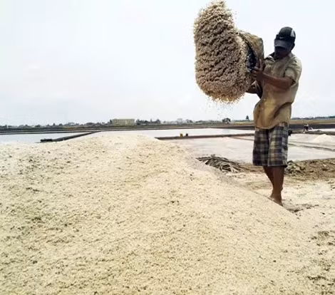 Bao giờ diêm dân hết cảnh "được mùa mất giá"?
