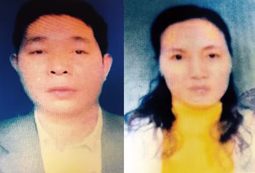 Hai vợ chồng Tý, Thanh.