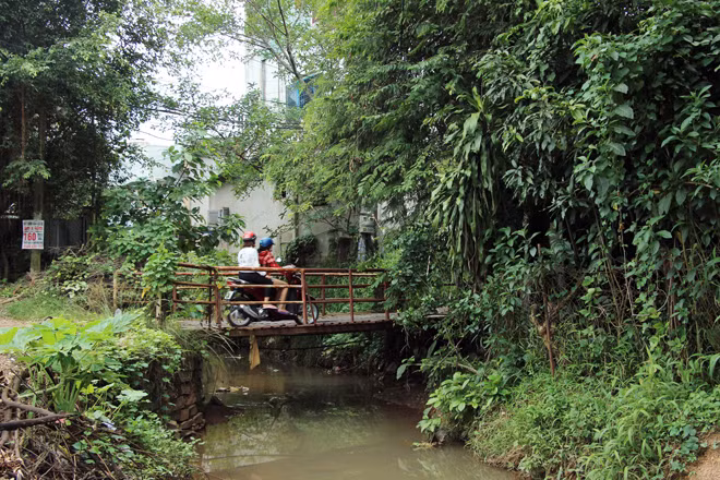 Hiện trạng suối Đồng Tiền thuộc phường Tân Đồng, thị xã Đồng Xoài, tỉnh Bình Phước. Hiện trạng suối Đồng Tiền thuộc phường Tân Đồng, thị xã Đồng Xoài, tỉnh Bình Phước.