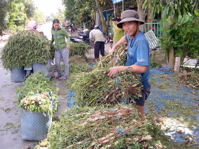 ĐBSCL kêu gọi đầu tư vào nông nghiệp nhưng chưa có chính sách cụ thể.