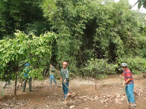 Tạo sinh kế cho các hộ dân vùng đệm Vườn Quốc gia Bù Gia Mập