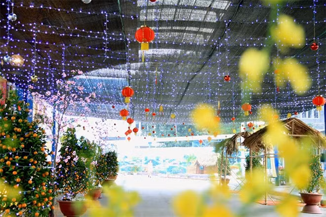 Rực rỡ “Tết Việt 2017” tại Công viên Hồ Tây