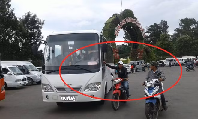 “Cò” đặc sản Đà Lạt đang mồi chài tài xế đưa khách đi tham quan vườn dâu tây.