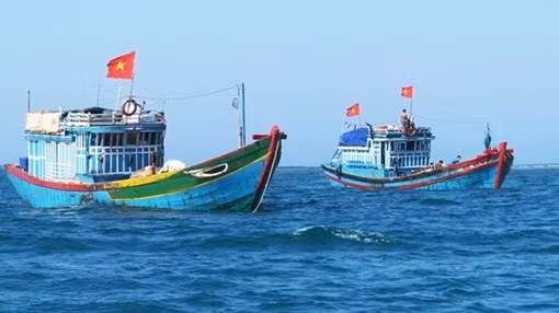 55% tàu cá dừng hoạt động, đề xuất Chính phủ hỗ trợ ngư dân ảnh 2