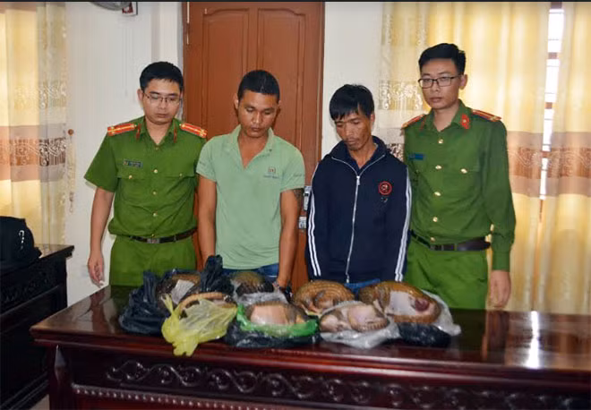 2 Đối tượng Hồ Minh Đức và Bùi Đức Hùng cùng 7 cá thể tê tê (đông lạnh) trọng lượng 22,7kg.