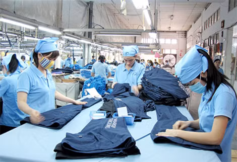 Hoàn thiện thể chế pháp lý về ghi nhãn sản xuất “Made in Viet Nam” đang là một nhu cầu cấp bách.