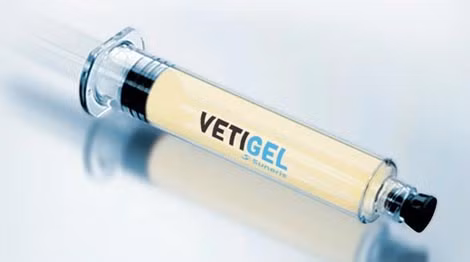 Ống bơm VetiGel.