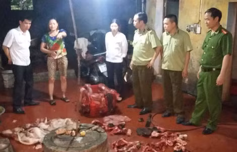Bắt quả tang cơ sở hoạt động “chui” đang "chế" lợn bệnh, lợn chết ảnh 4