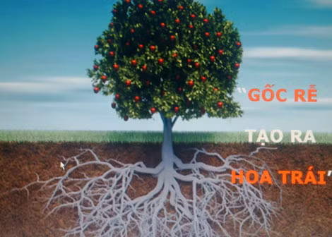 Mô hình kinh doanh đa cấp thường được quảng bá tương tự hình ảnh trên. Mô hình kinh doanh đa cấp thường được quảng bá tương tự hình ảnh trên.