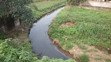 Những con kênh "chết" ở Sơn Đồng.