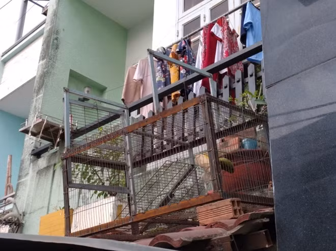 Cái bẫy khỉ để trên mái nhà ông Thắng.