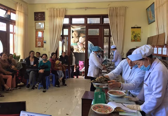 Tuệ Tĩnh Đường Linh Quang ngày còn hoạt động bình thường