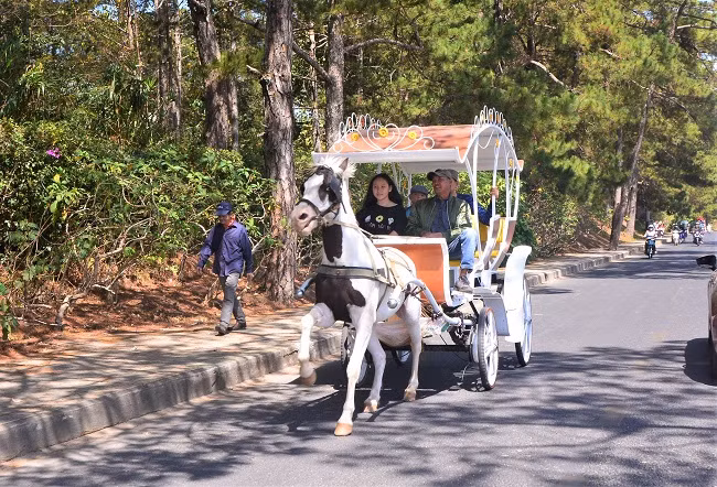 Nhiều doanh nghiệp kinh doanh du lịch tại Đà Lạt bị du khách hủy tour