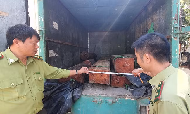 Xe chở gỗ lậu bị lực lượng chức năng bắt giữ