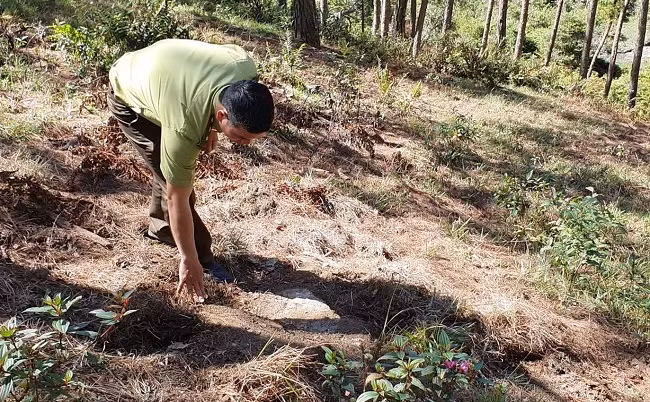 Hiện trường vụ khai thác gỗ trái pháp luật