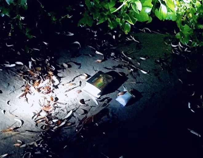 Chất ma túy đối tượng ném ra ngoài