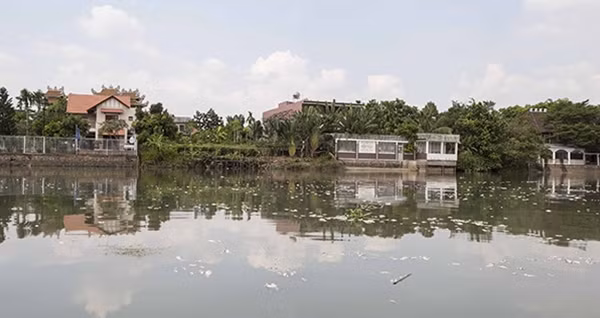 Hàng trăm bao tải cá đã được bà con xóm bè đem đi chôn nhưng vẫn không xuể. Nhiều hộ đã bức xúc đem cá đổ ra sông, khiến mặt sông có thời điểm trắng xóa vì xác cá.