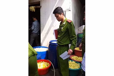 Lực lượng chức năng đang kiểm tra 2 cơ sở sản xuất măng tươi.