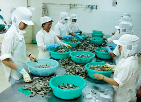 Người lao động luôn phải chịu thiệt thòi nếu chủ doanh nghiệp – người sử dụng lao động không thực hiện nghiêm túc quy định của pháp luật về BHXH, BHYT.