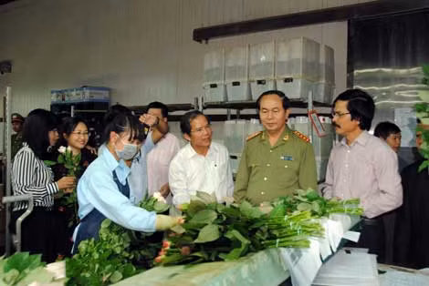 Thăm dây chuyền đóng gói hoa tại Công ty Dalat Hasfarm.