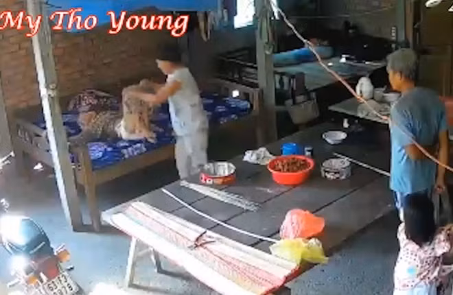 Cụ bà 88 tuổi bị con dâu bạo hành. Cụ bà 88 tuổi bị con dâu bạo hành.