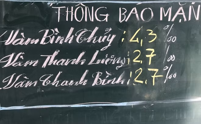 Thông báo về độ mặn được cán bộ xã cập nhập thường xuyên.