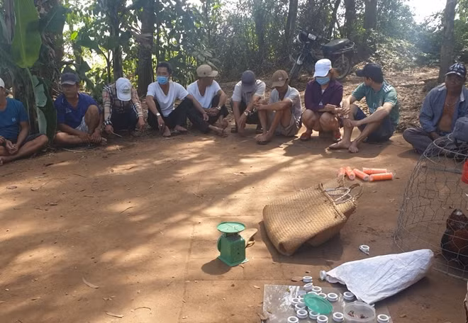 Các đối tượng tham gia đá gà bị bắt quả tang.