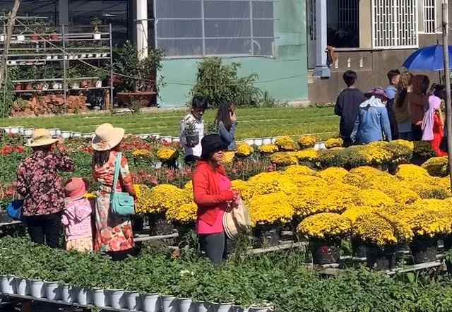 Khách tham quan làng hoa Sa Đéc.