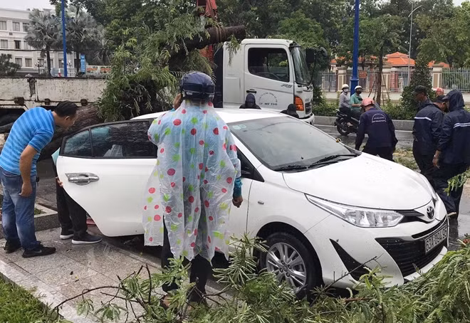 Cây me bật gốc đè lên ôtô 4 chỗ.