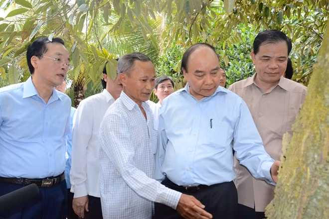 Thủ tướng Nguyễn Xuân Phúc khảo sát mô hình trồng trái cây ở huyện Cai Lậy, tỉnh Tiền Giang.
