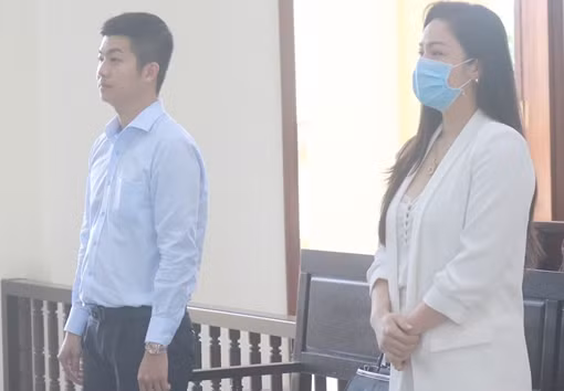 Tòa Tối cao kháng nghị vụ Nhật Kim Anh tranh chấp quyền nuôi con ảnh 2