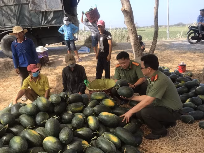 Trung tá Trần Thanh Hoài thăm hỏi, động viên người dân trồng dưa.