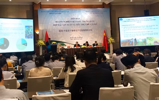 Hợp tác phát triển sản xuất và tiêu thụ chè, cà phê Việt Nam - Trung Quốc